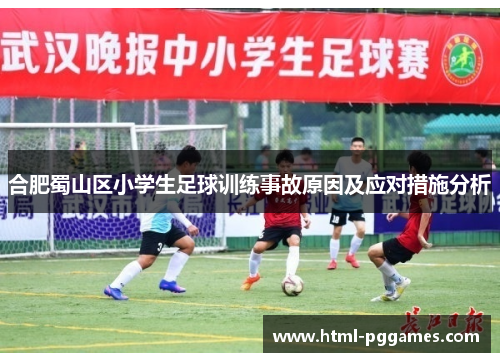 合肥蜀山区小学生足球训练事故原因及应对措施分析