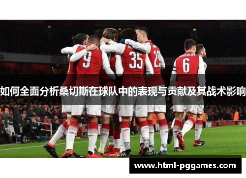 如何全面分析桑切斯在球队中的表现与贡献及其战术影响