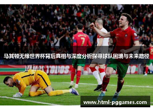 马其顿无缘世界杯背后真相与深度分析探寻球队困境与未来路径