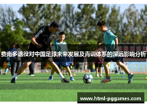 费南多退役对中国足球未来发展及青训体系的深远影响分析